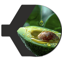 Aguacate
