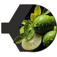 Menta Cítrica